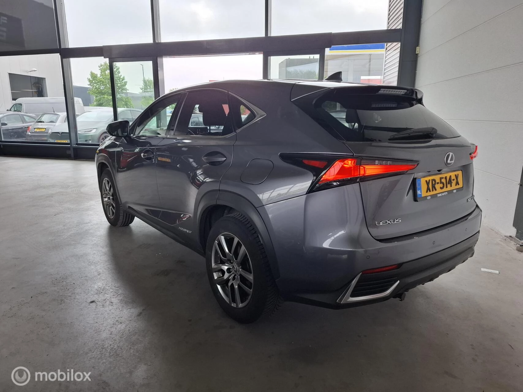 Hoofdafbeelding Lexus NX