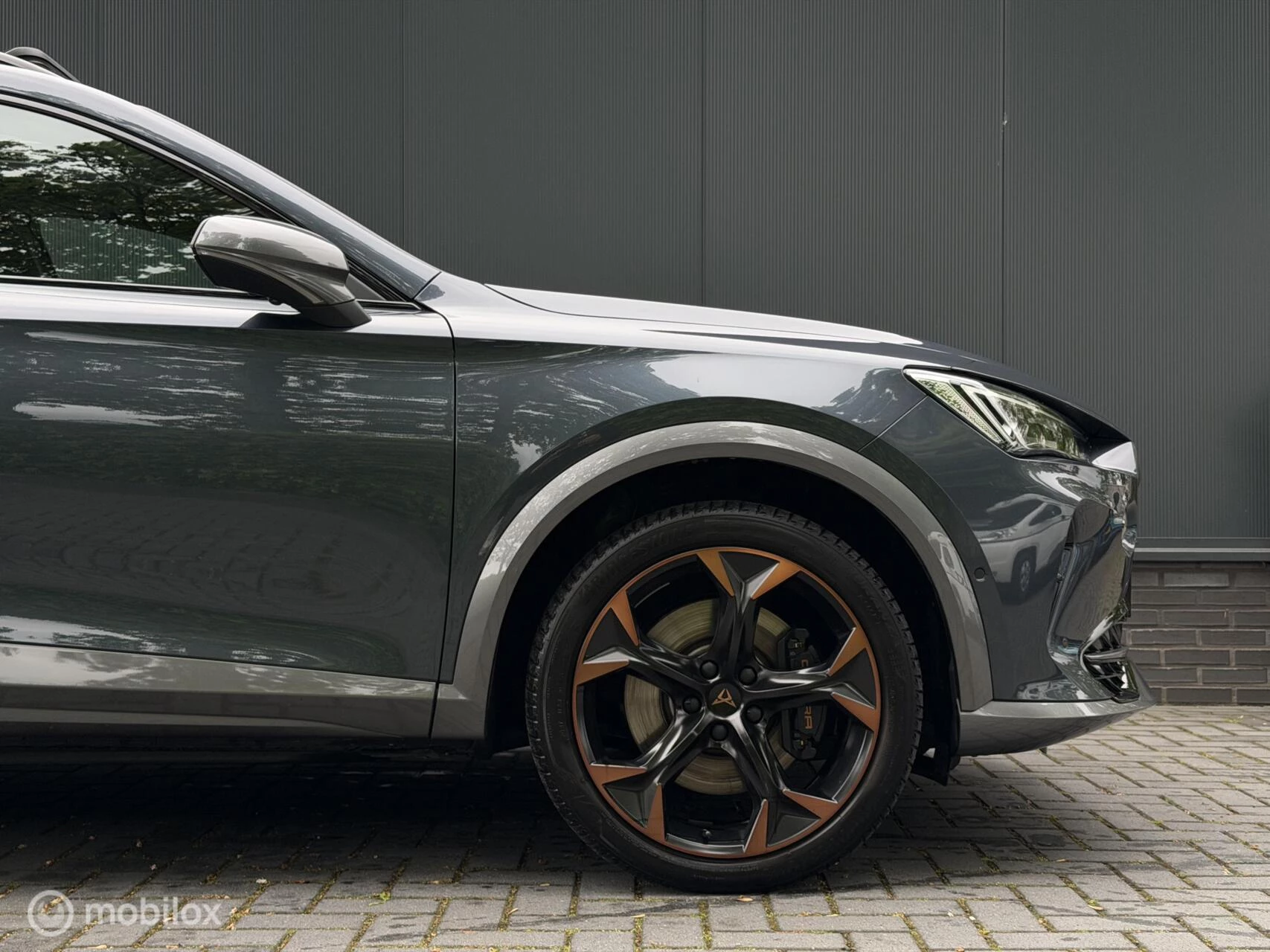 Hoofdafbeelding CUPRA Formentor