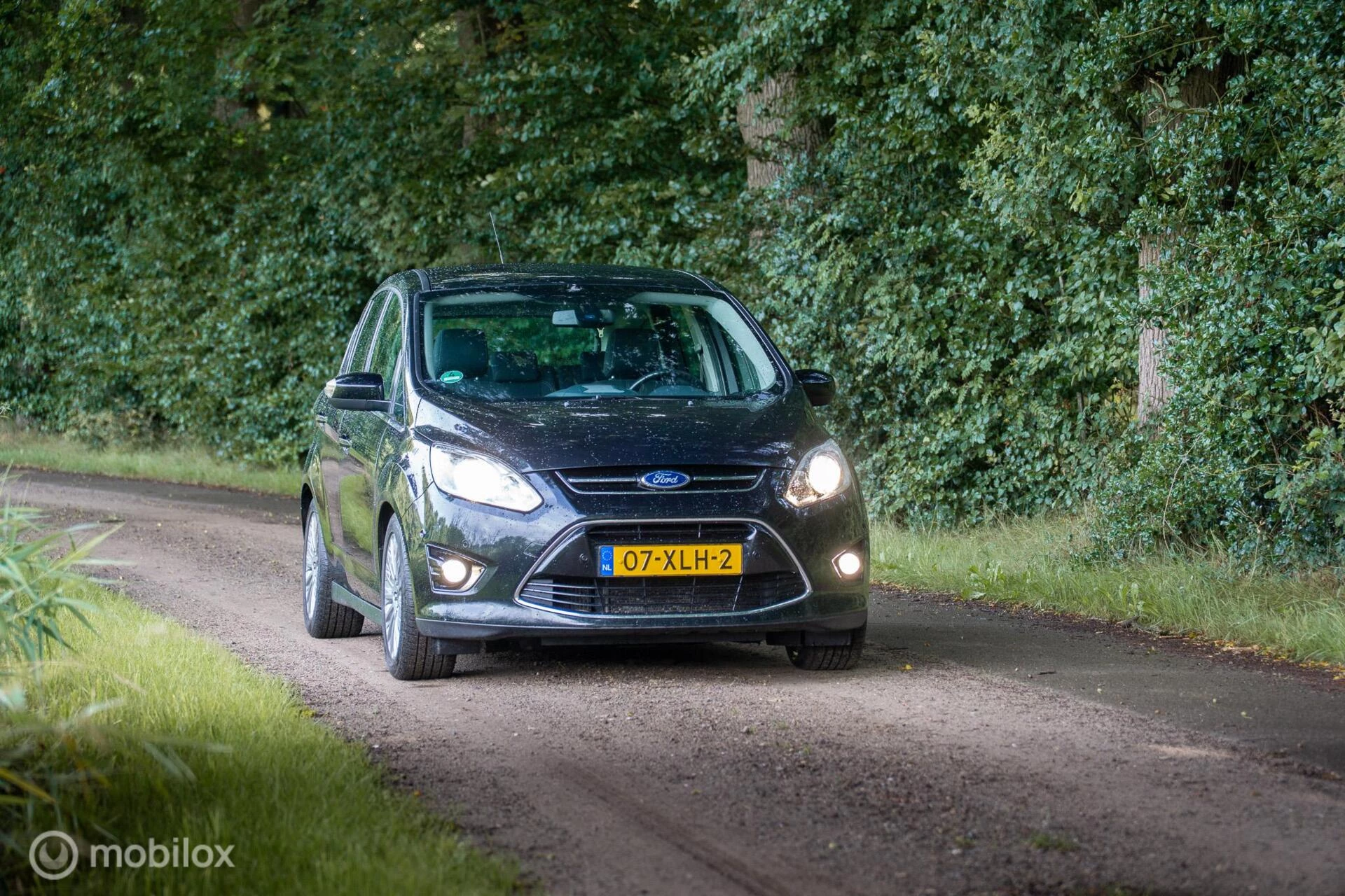Hoofdafbeelding Ford C-MAX