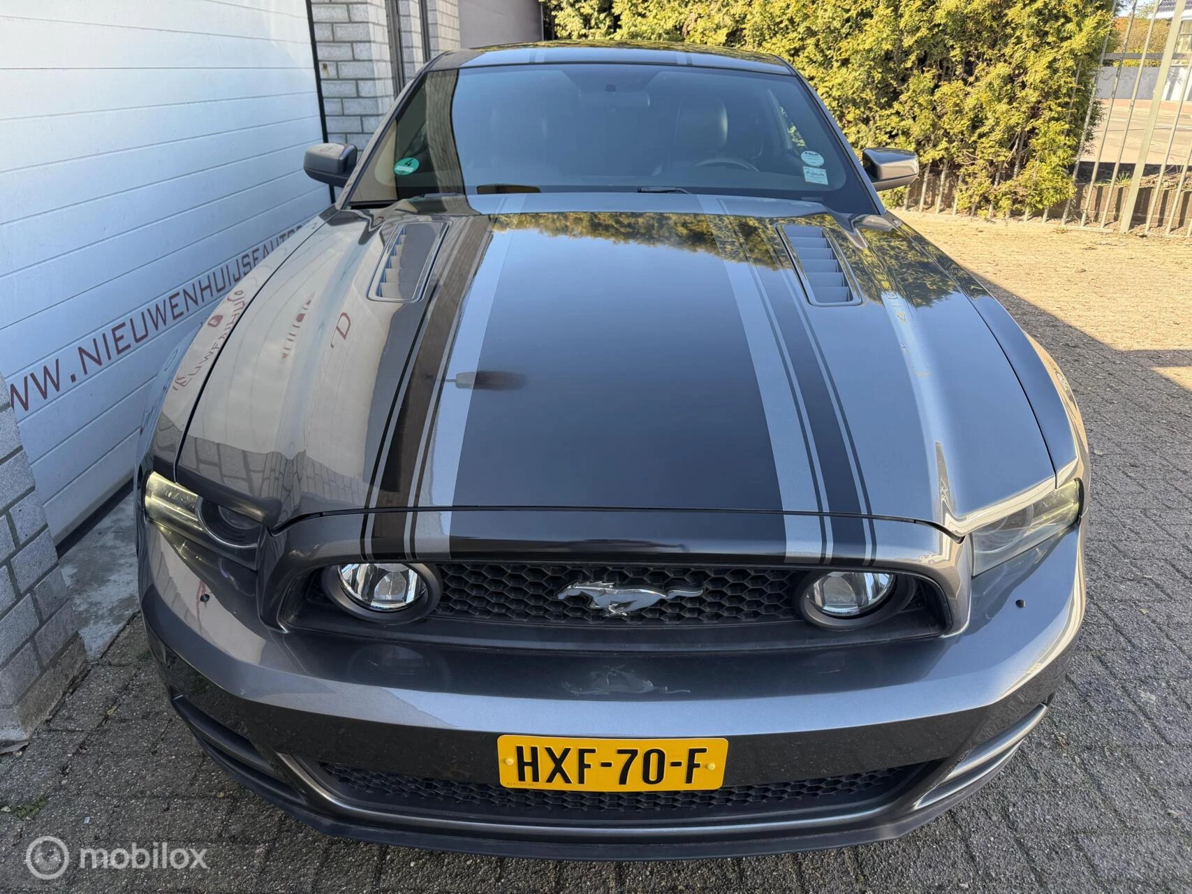 Hoofdafbeelding Ford Mustang