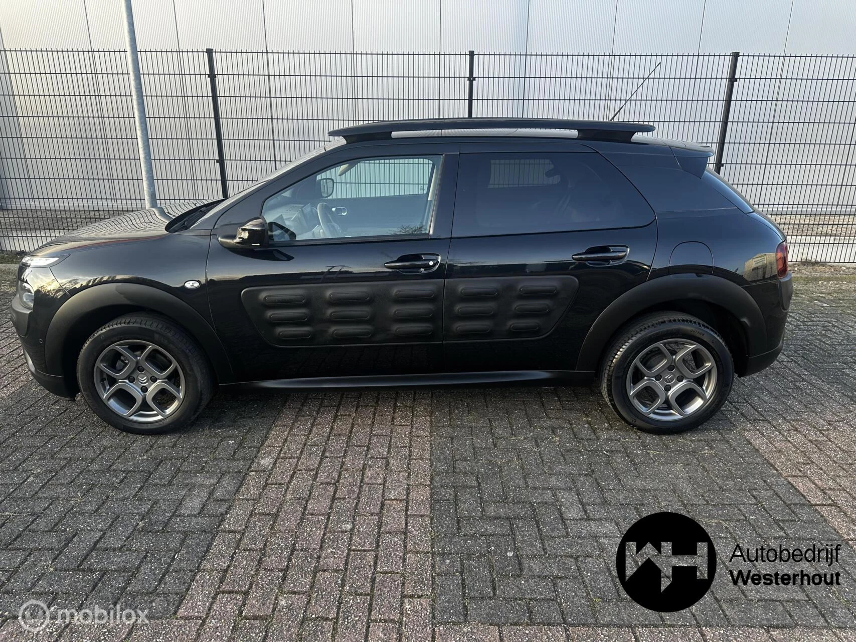 Hoofdafbeelding Citroën C4 Cactus