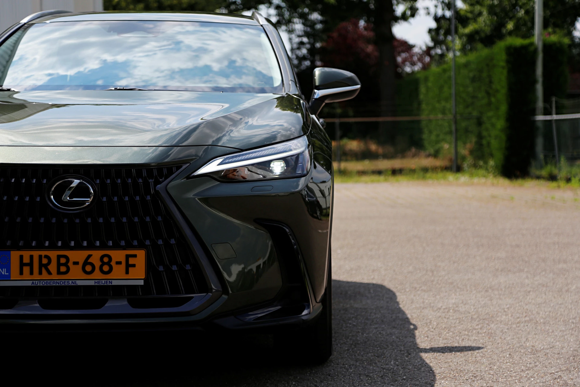 Hoofdafbeelding Lexus NX