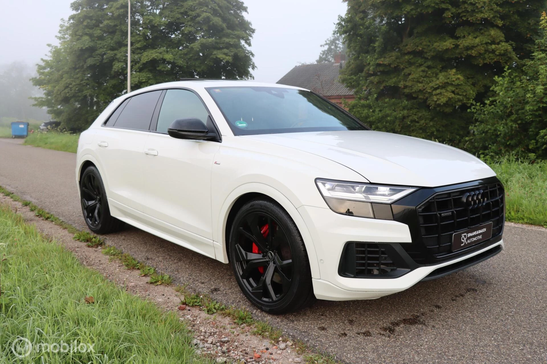 Hoofdafbeelding Audi Q8