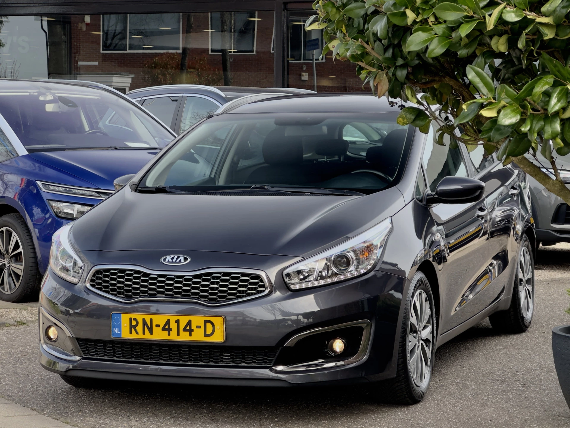 Hoofdafbeelding Kia cee'd