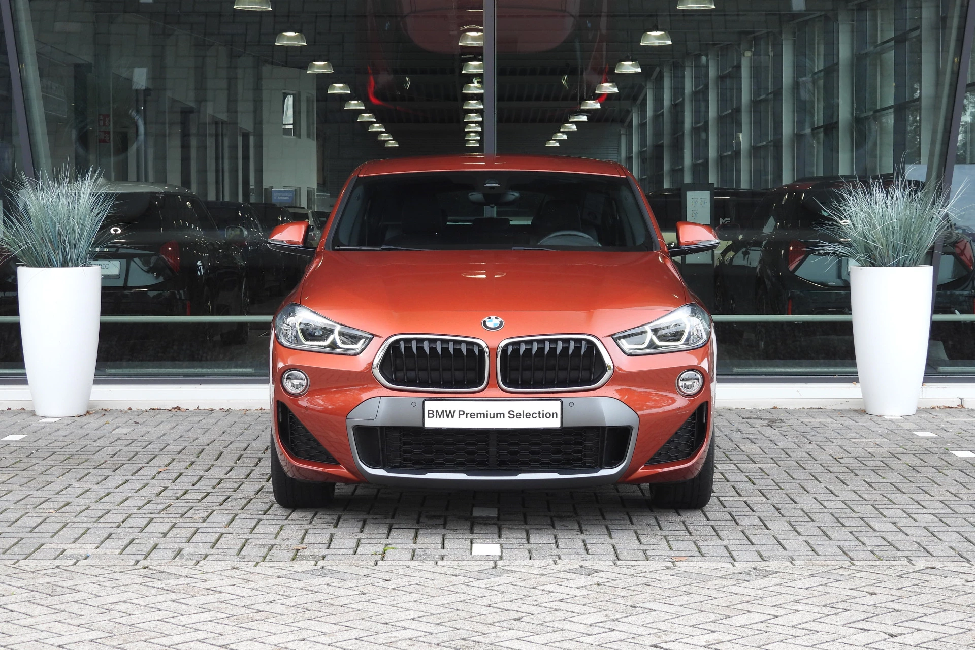 Hoofdafbeelding BMW X2