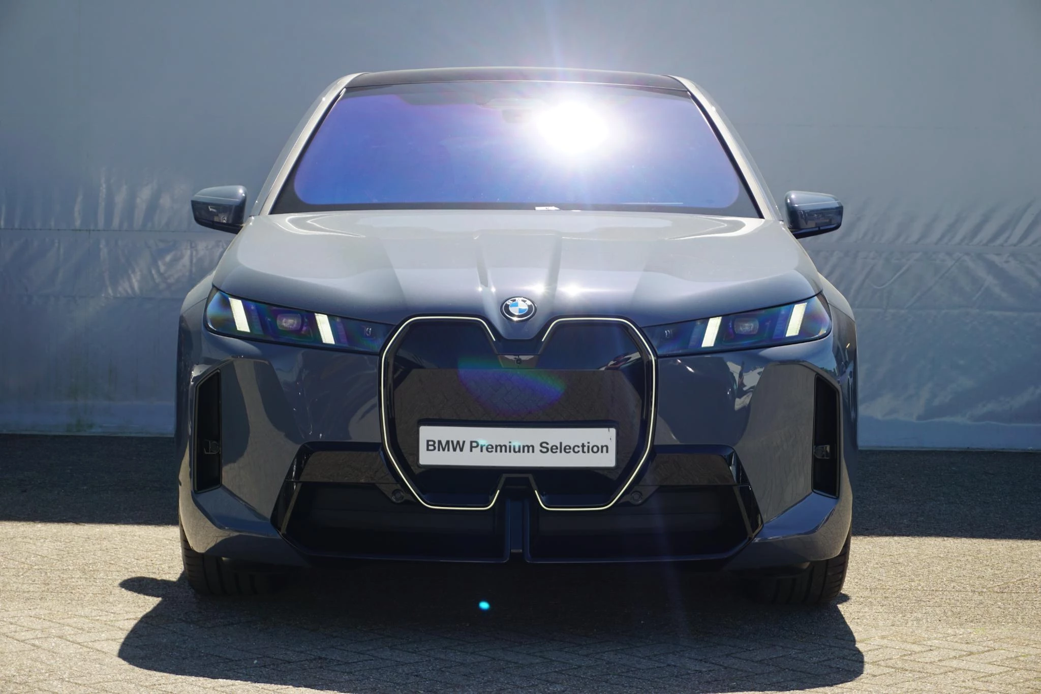 Hoofdafbeelding BMW iX