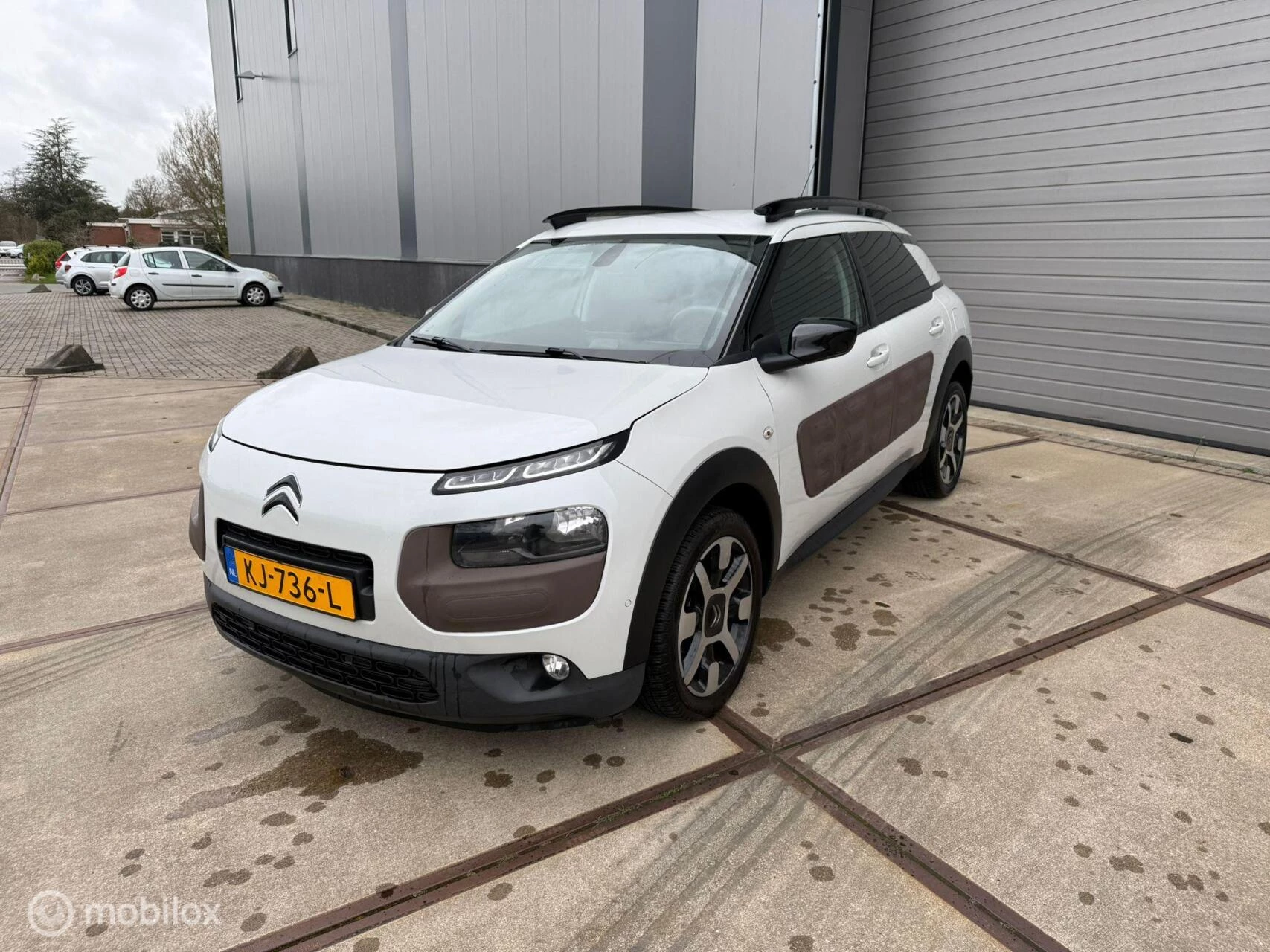 Hoofdafbeelding Citroën C4 Cactus