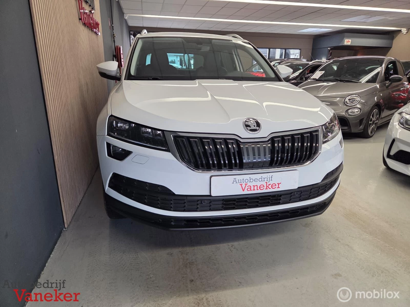 Hoofdafbeelding Škoda Karoq