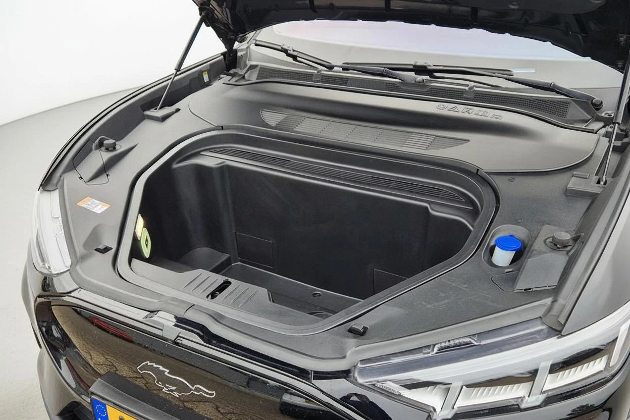 Hoofdafbeelding Ford Mustang Mach-E