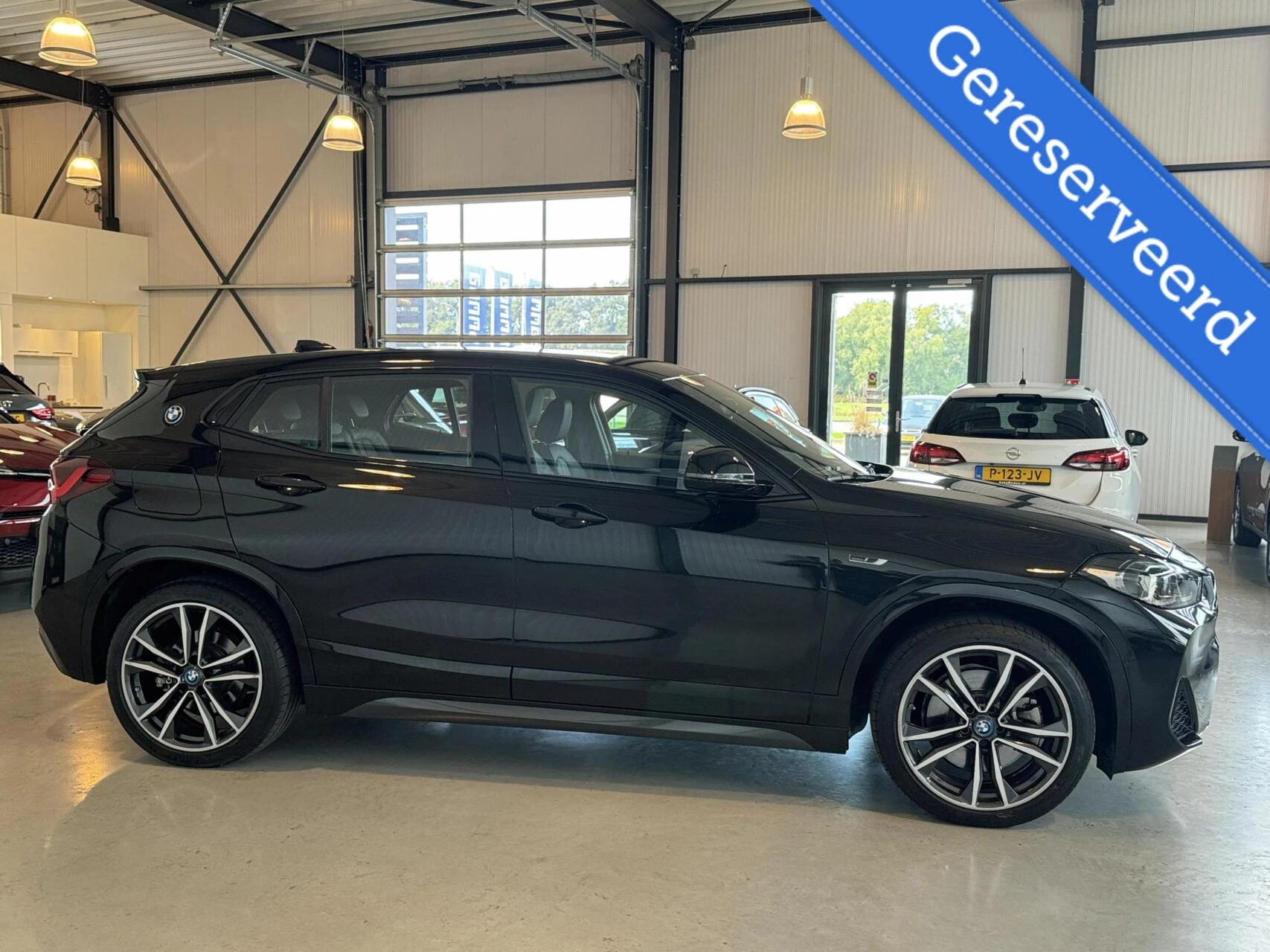 Hoofdafbeelding BMW X2