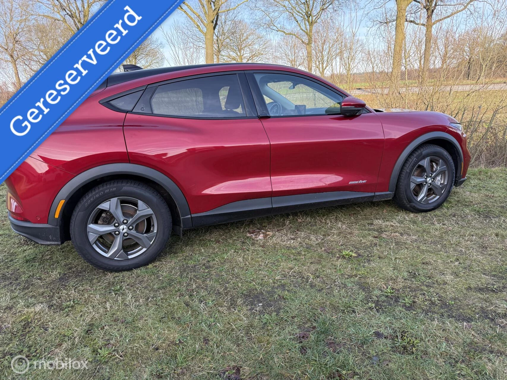 Hoofdafbeelding Ford Mustang Mach-E