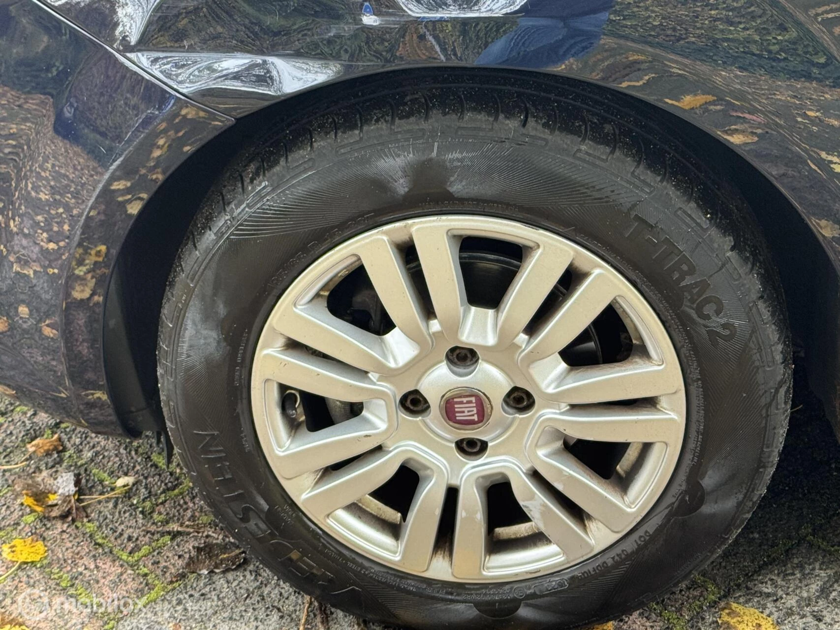 Hoofdafbeelding Fiat Punto