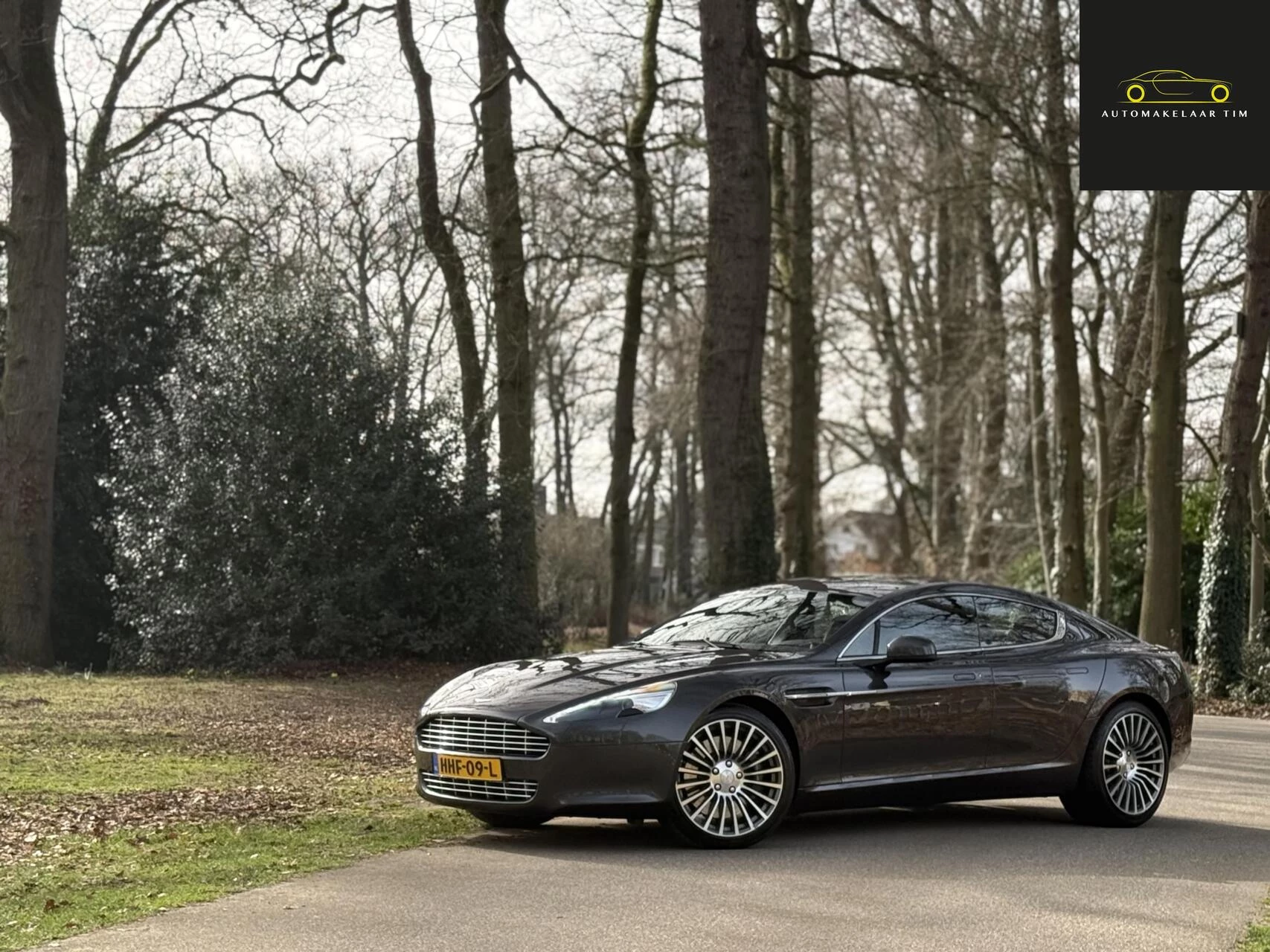 Hoofdafbeelding Aston Martin Rapide