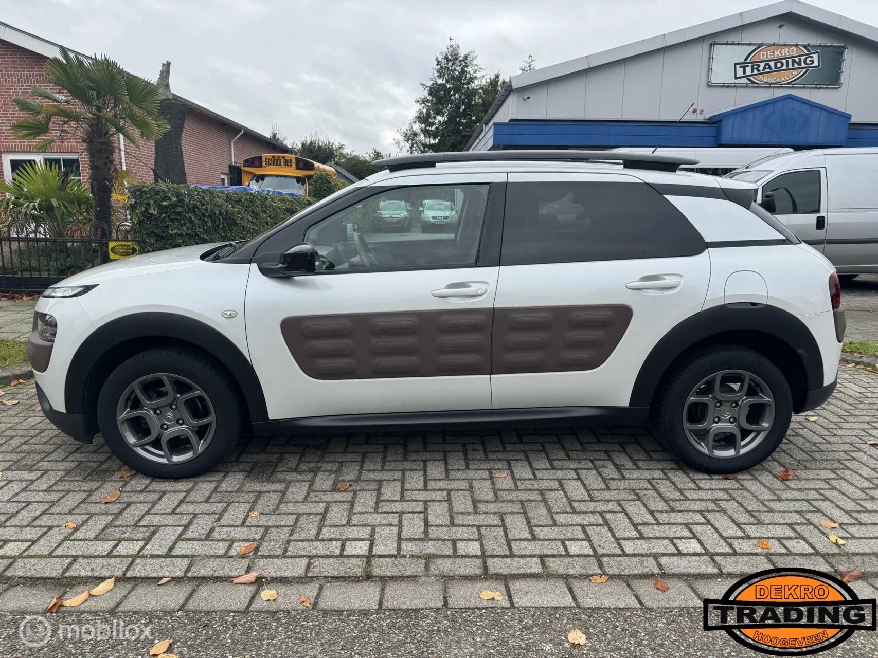 Hoofdafbeelding Citroën C4 Cactus