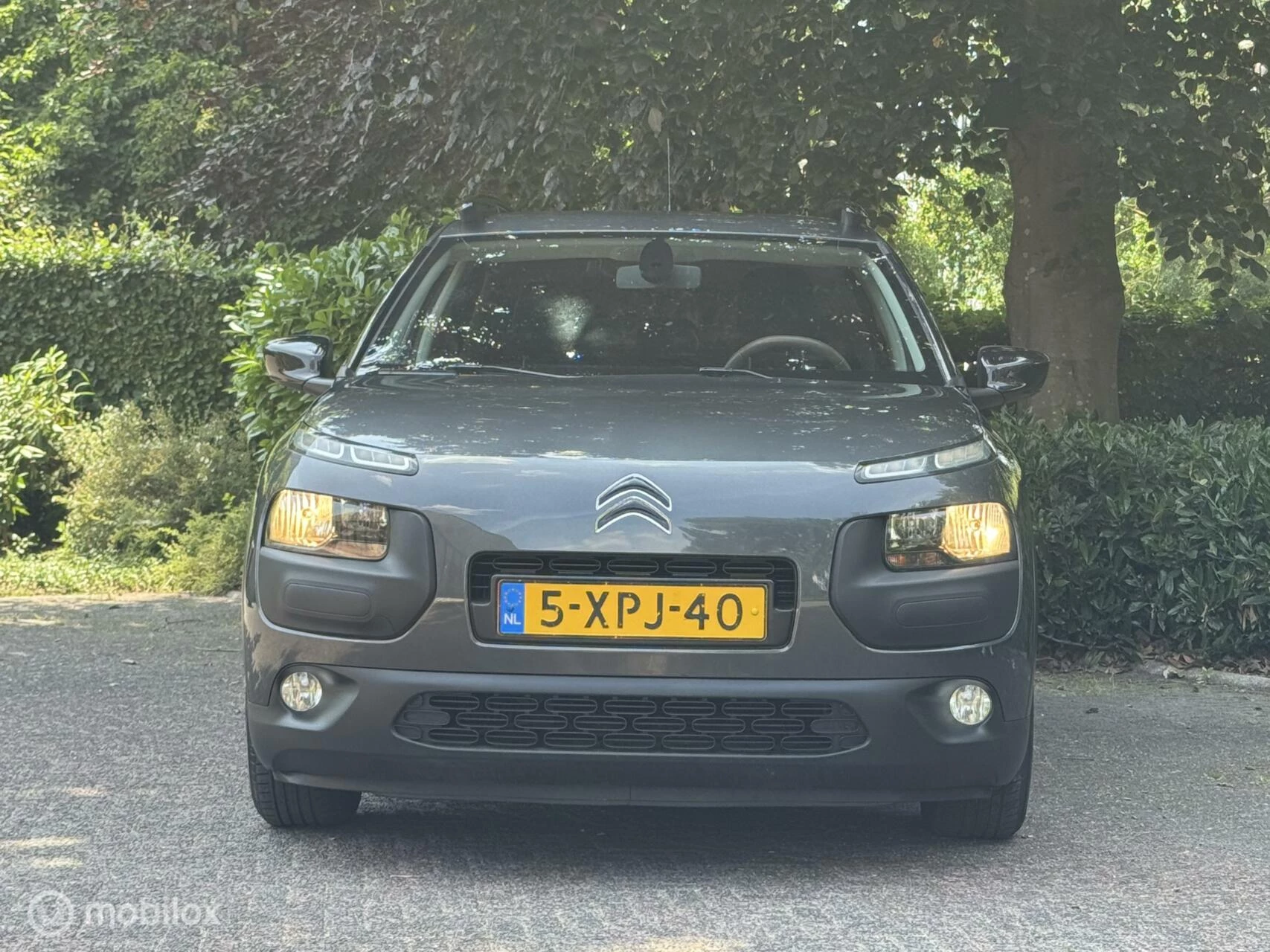 Hoofdafbeelding Citroën C4 Cactus