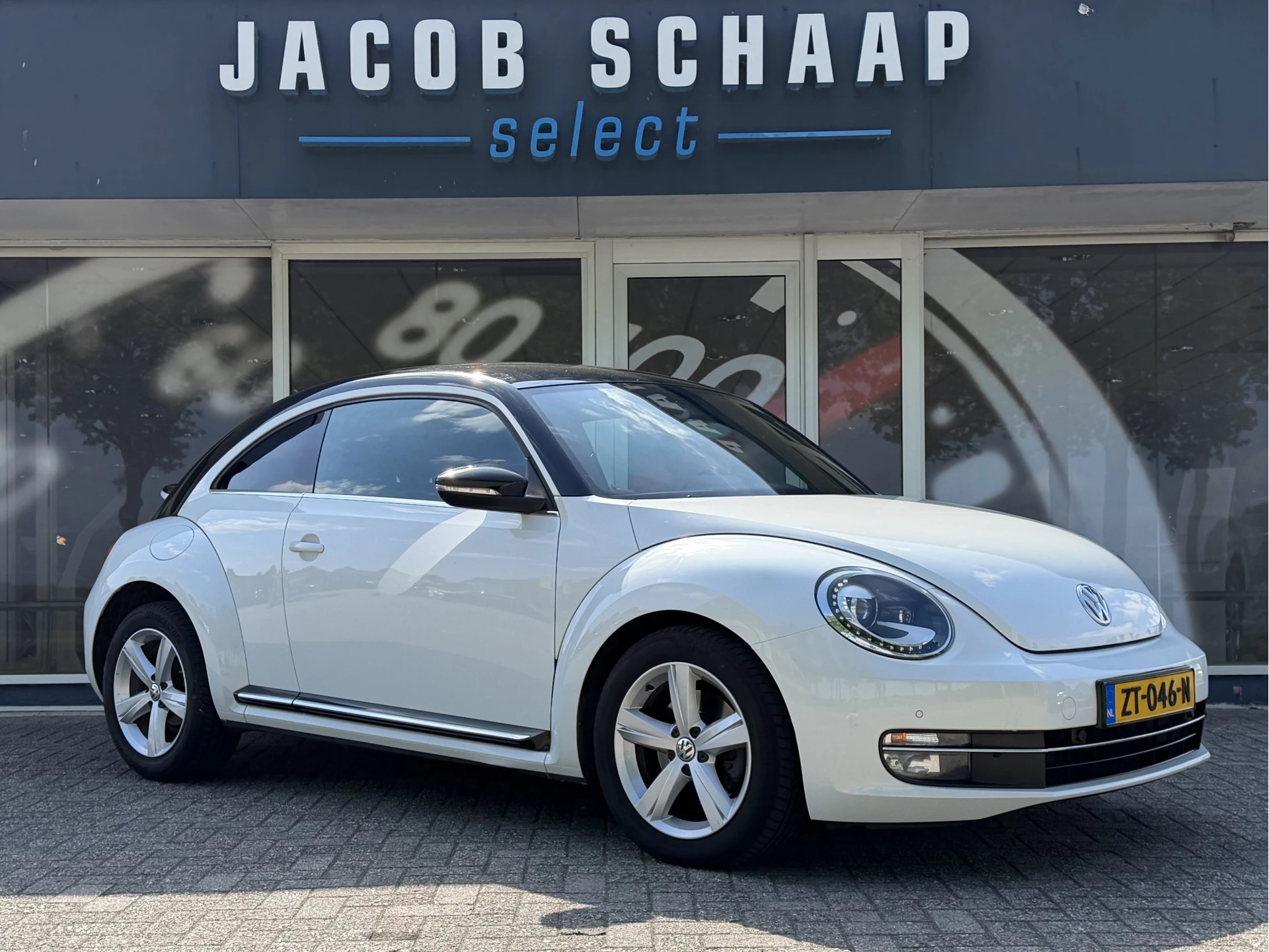 Hoofdafbeelding Volkswagen Beetle