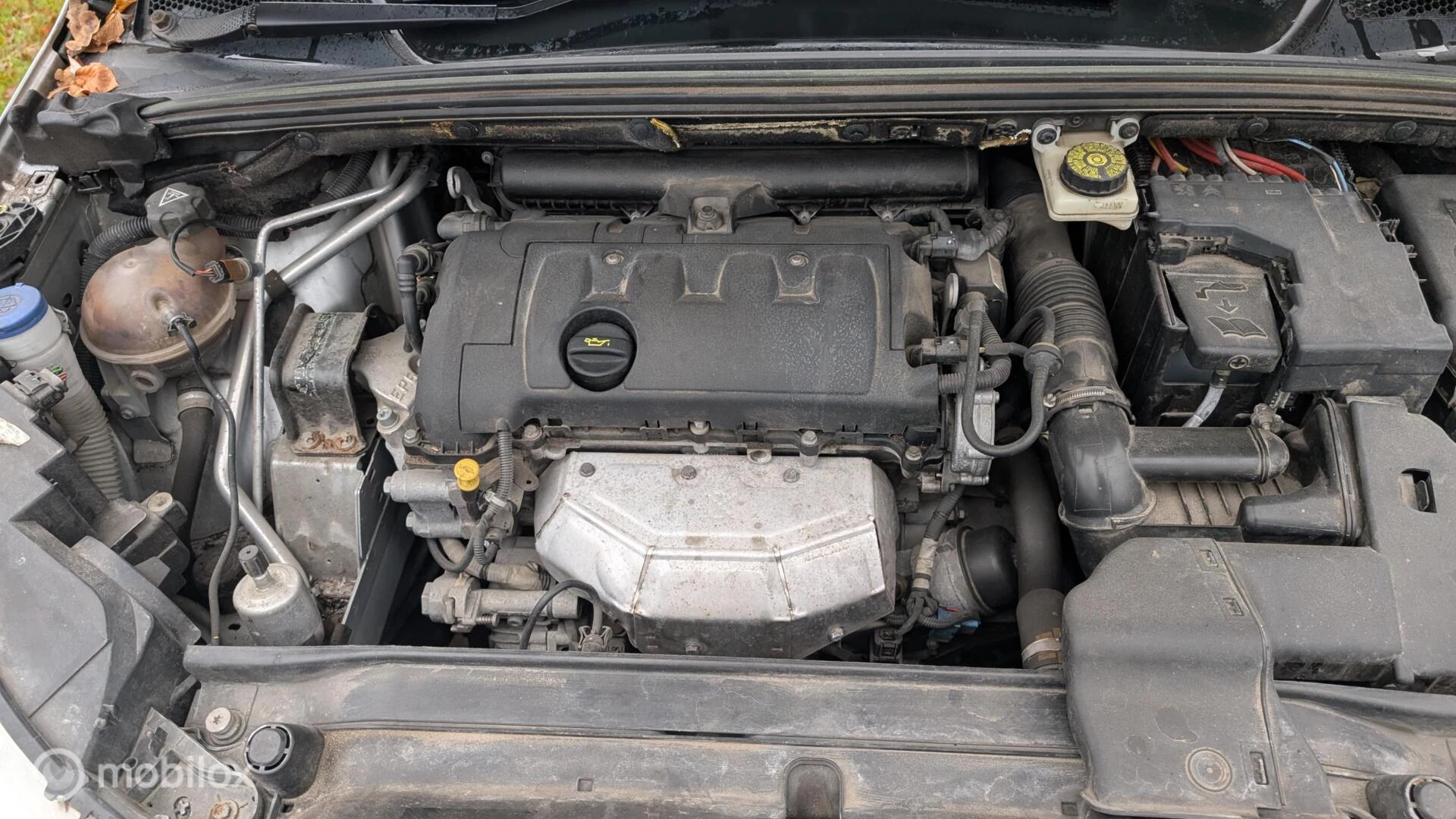 Hoofdafbeelding Citroën C4