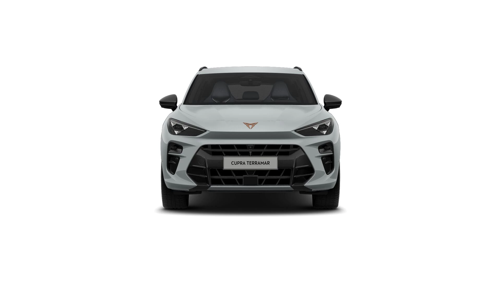 Hoofdafbeelding CUPRA Terramar