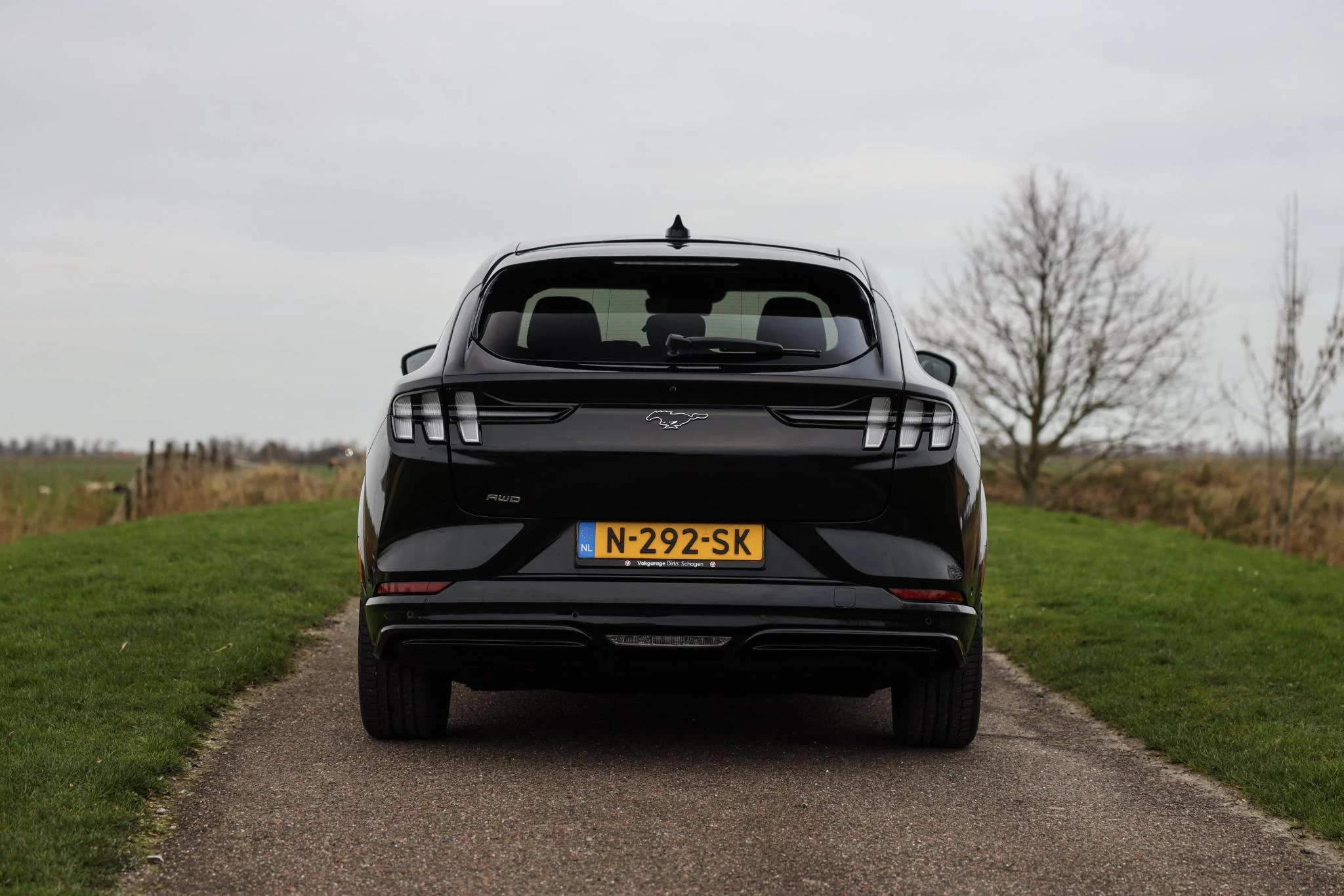 Hoofdafbeelding Ford Mustang Mach-E