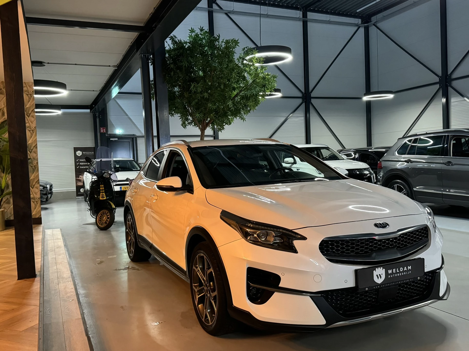 Hoofdafbeelding Kia XCeed