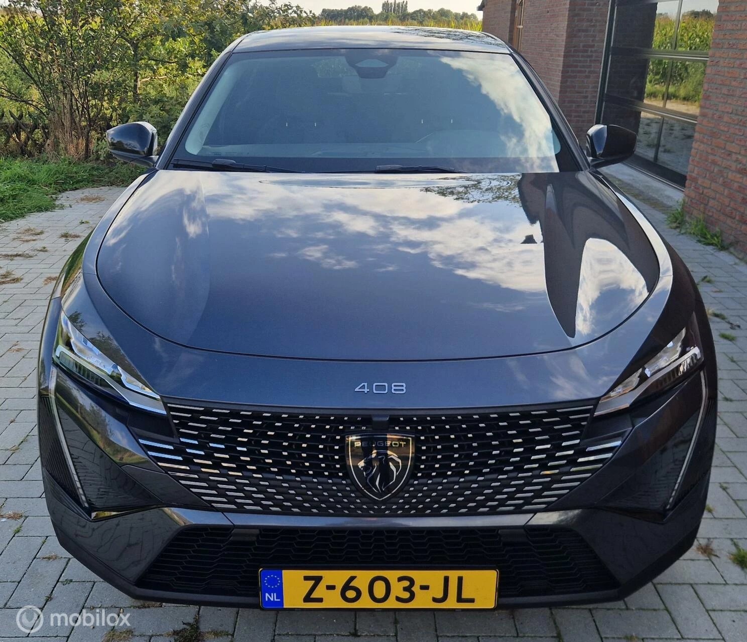 Hoofdafbeelding Peugeot 408