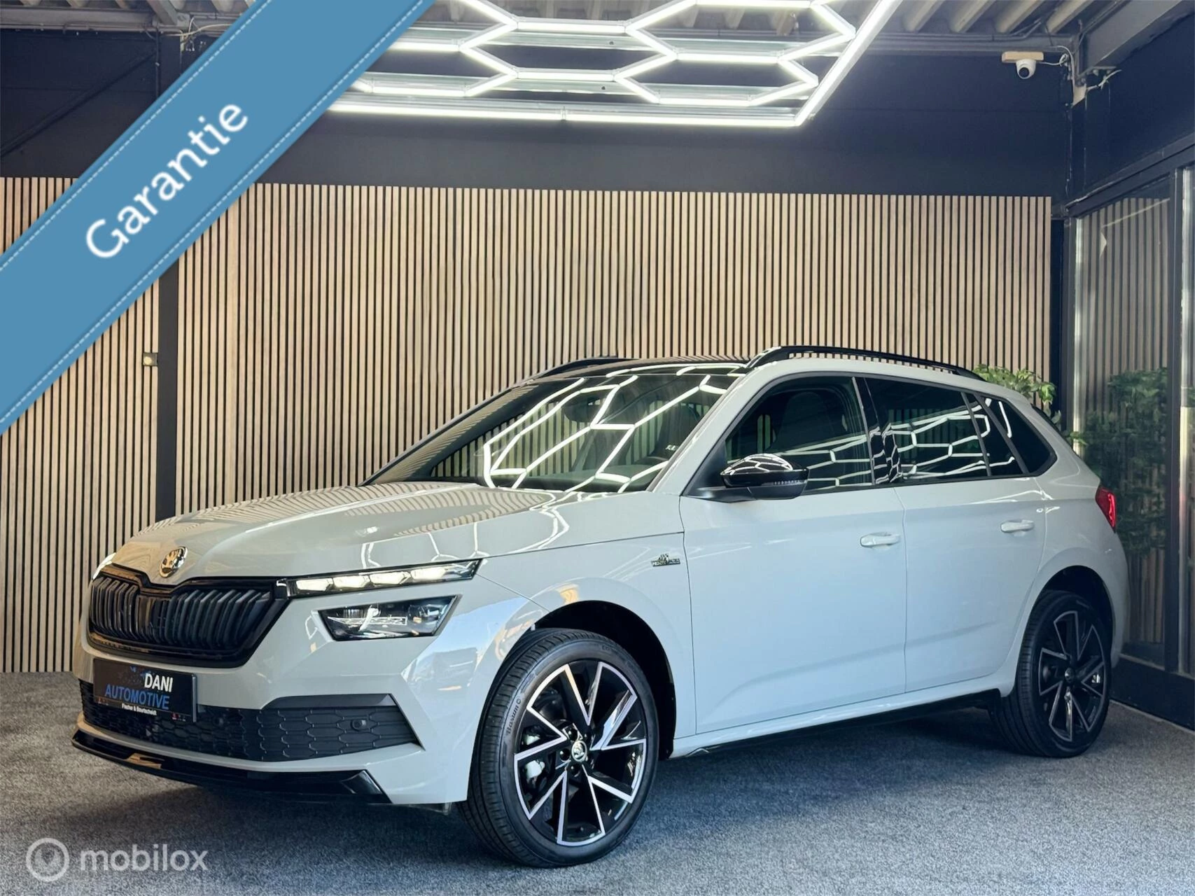 Hoofdafbeelding Škoda Kamiq