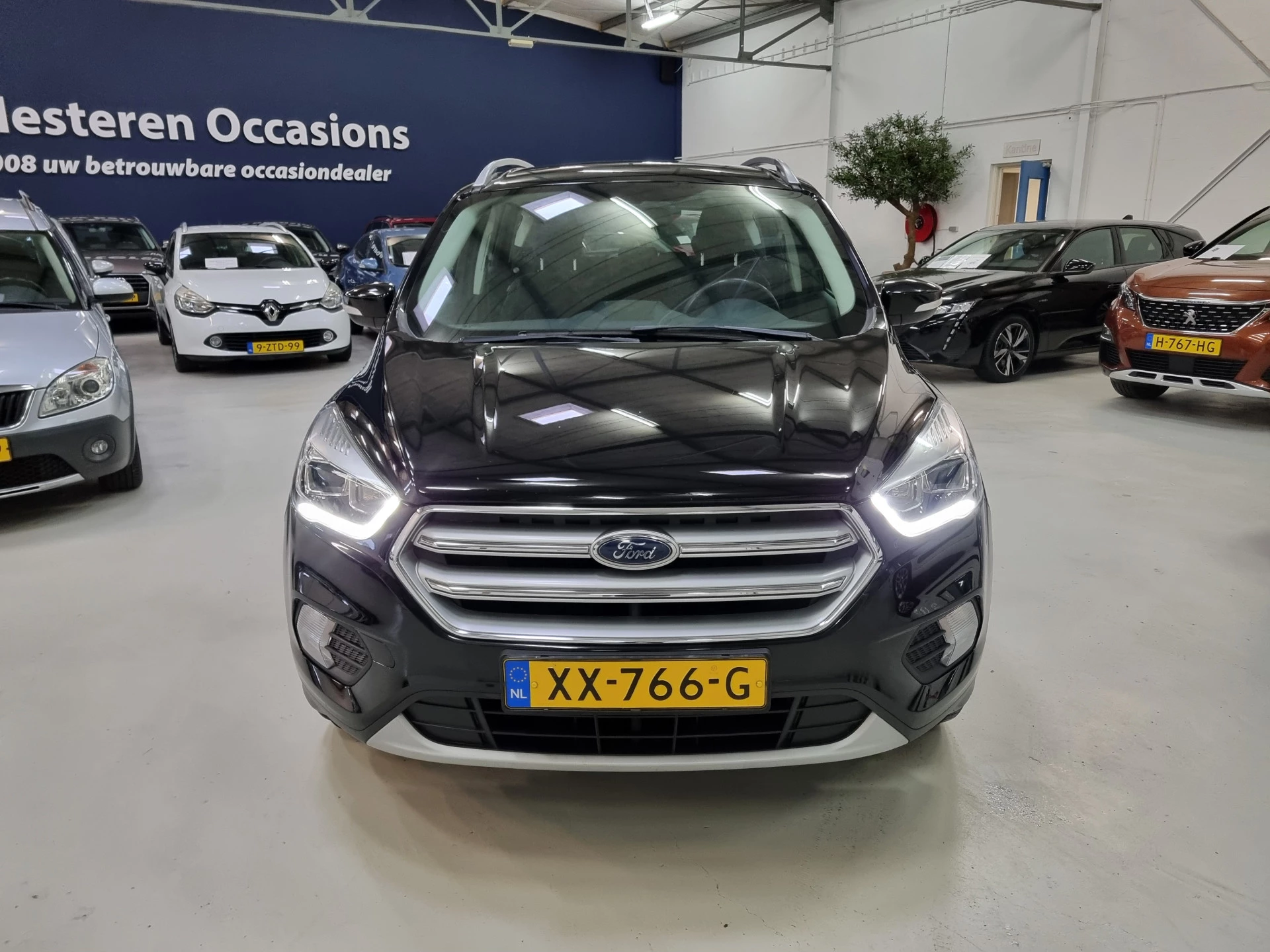 Hoofdafbeelding Ford Kuga