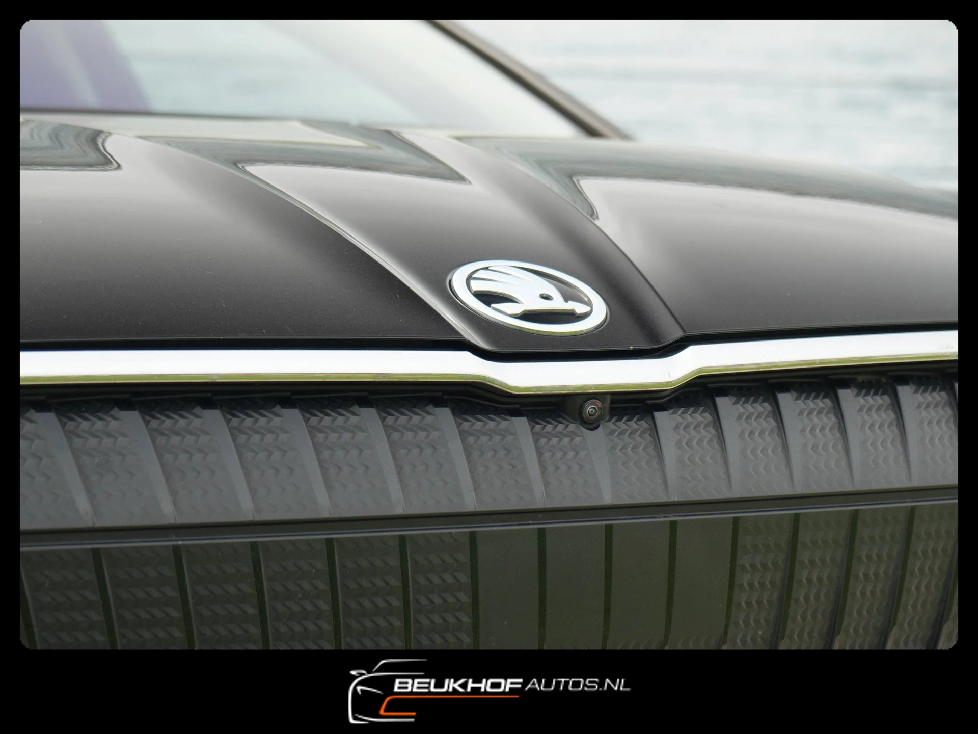 Hoofdafbeelding Škoda Enyaq iV