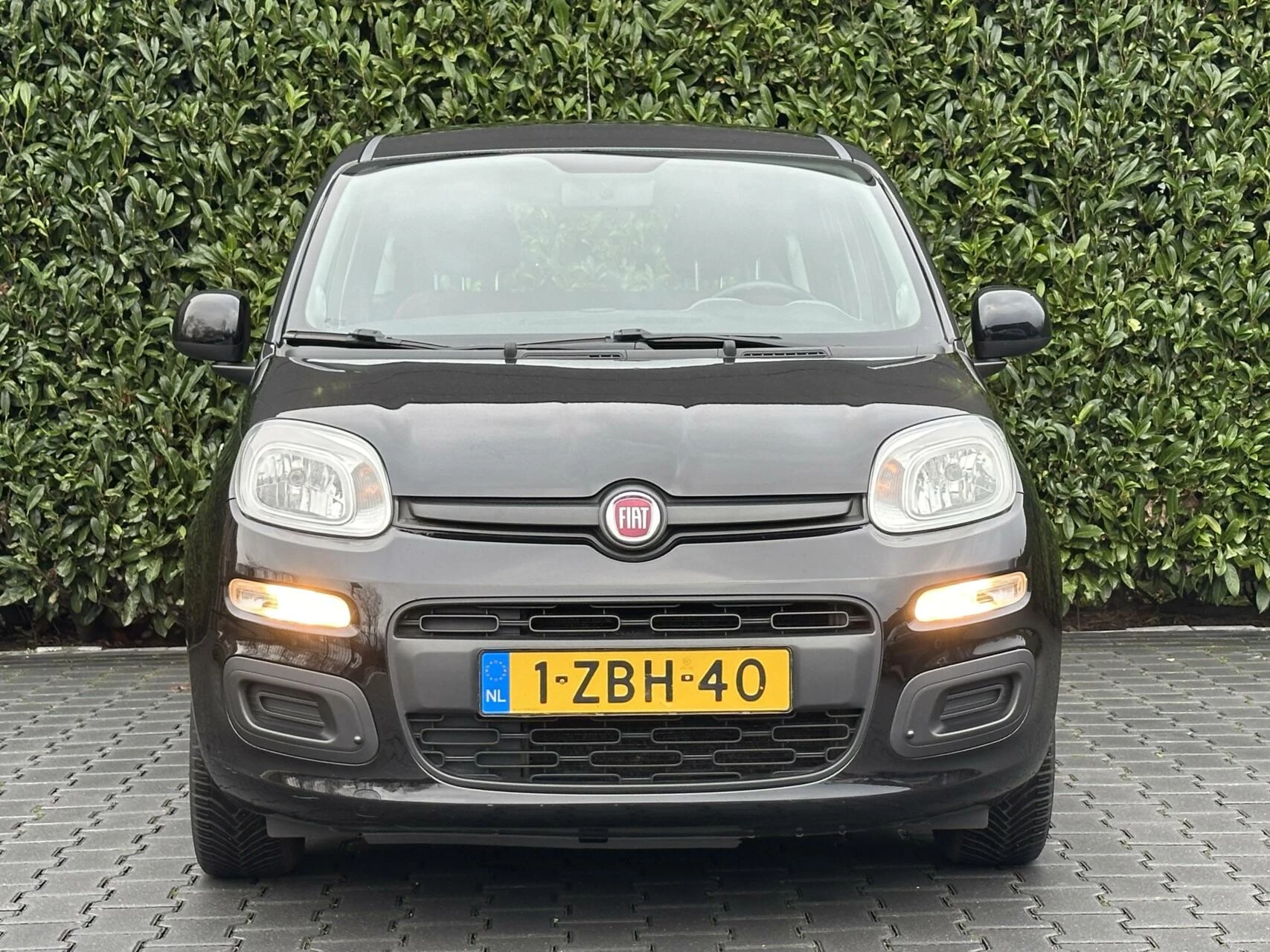 Hoofdafbeelding Fiat Panda