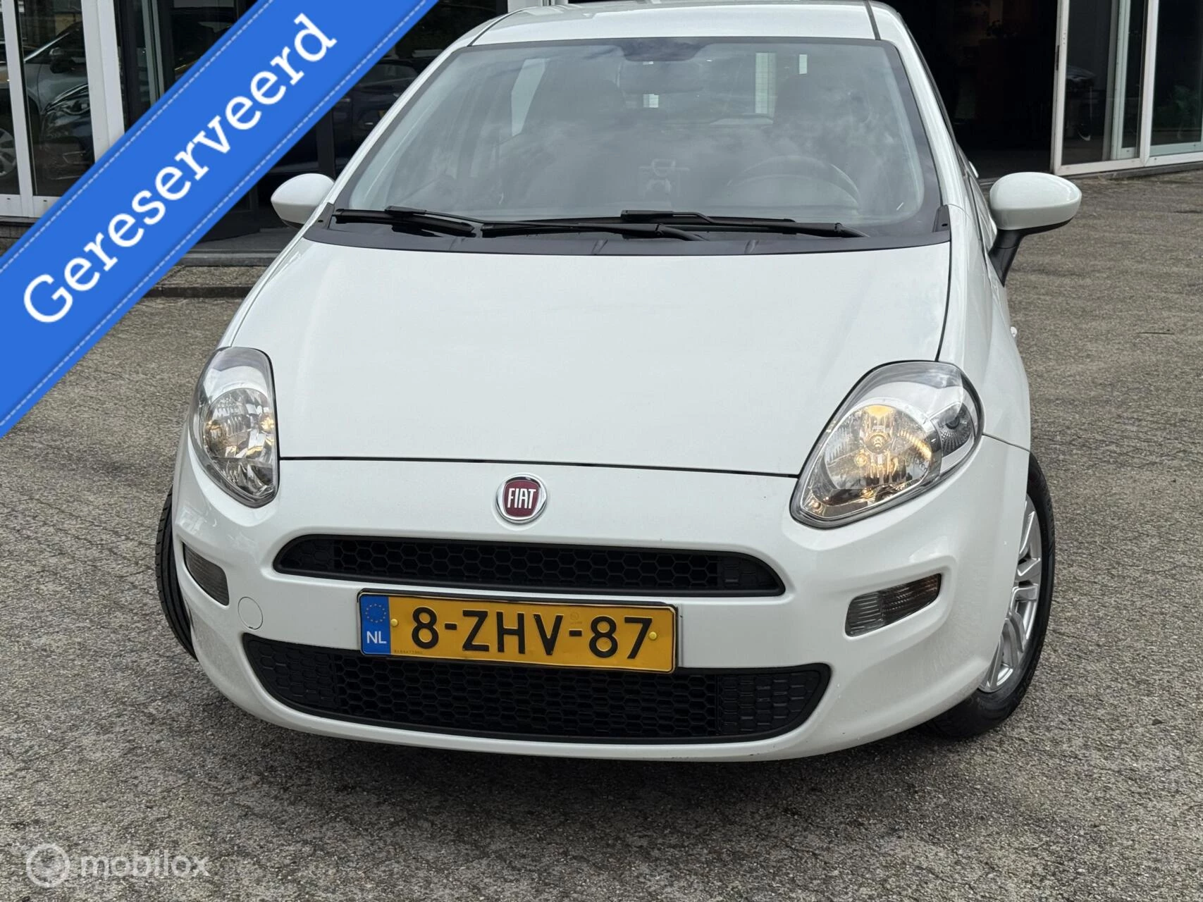Hoofdafbeelding Fiat Punto