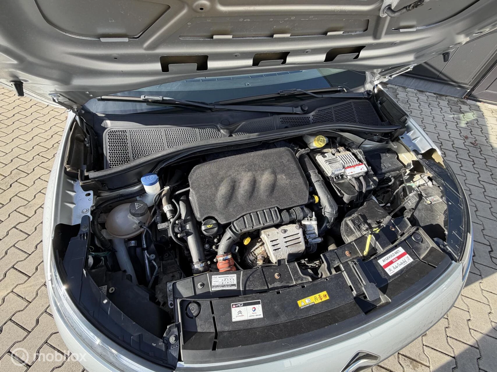 Hoofdafbeelding Citroën C4 Cactus