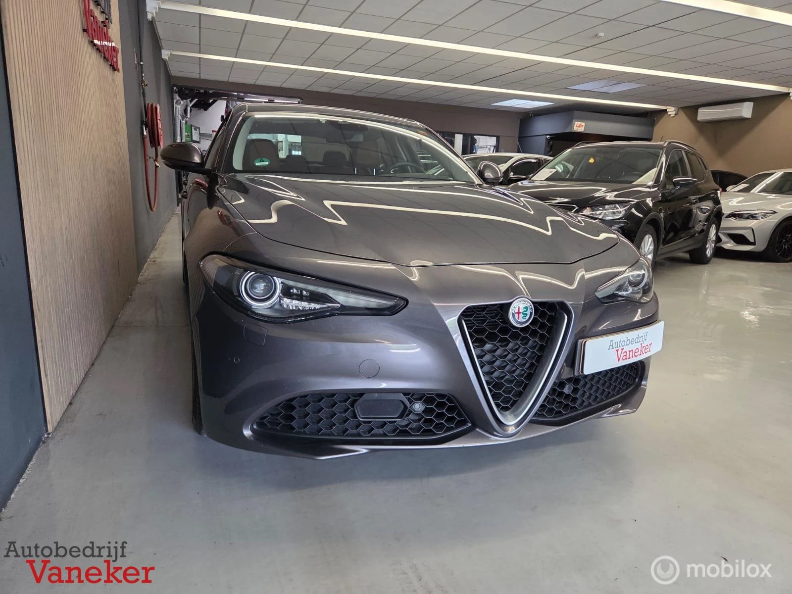 Hoofdafbeelding Alfa Romeo Giulia