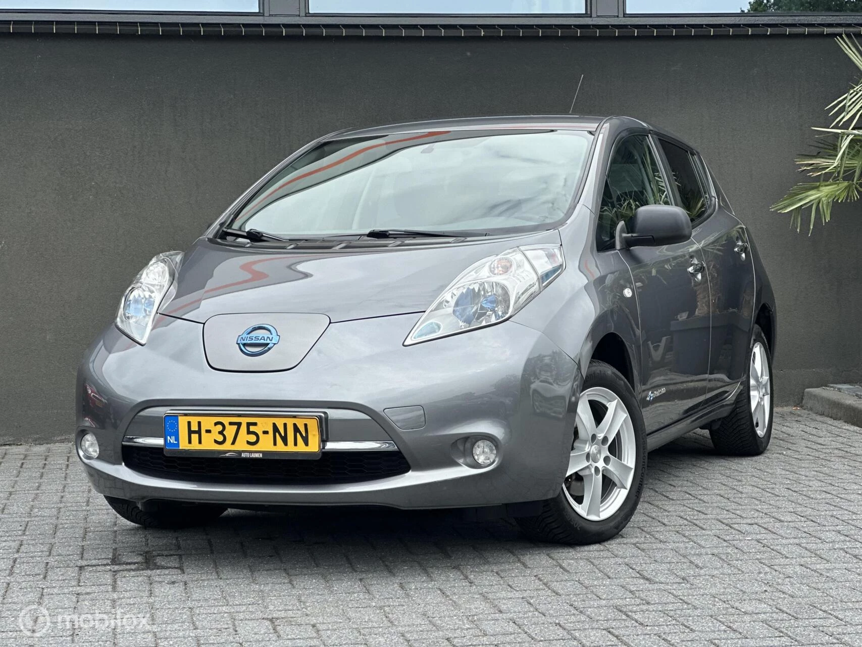 Hoofdafbeelding Nissan Leaf