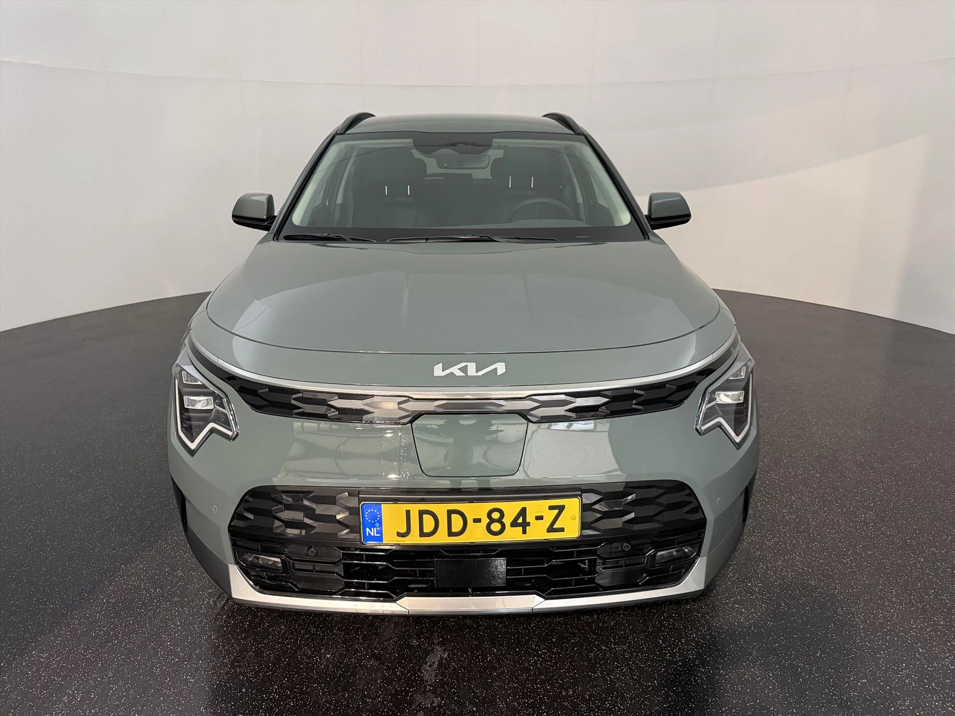 Hoofdafbeelding Kia e-Niro