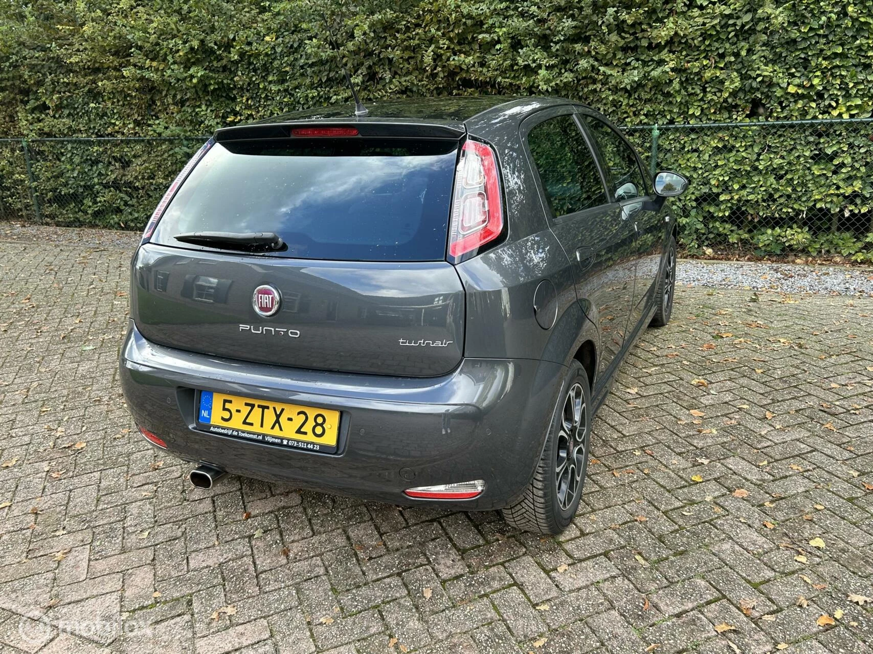 Hoofdafbeelding Fiat Punto