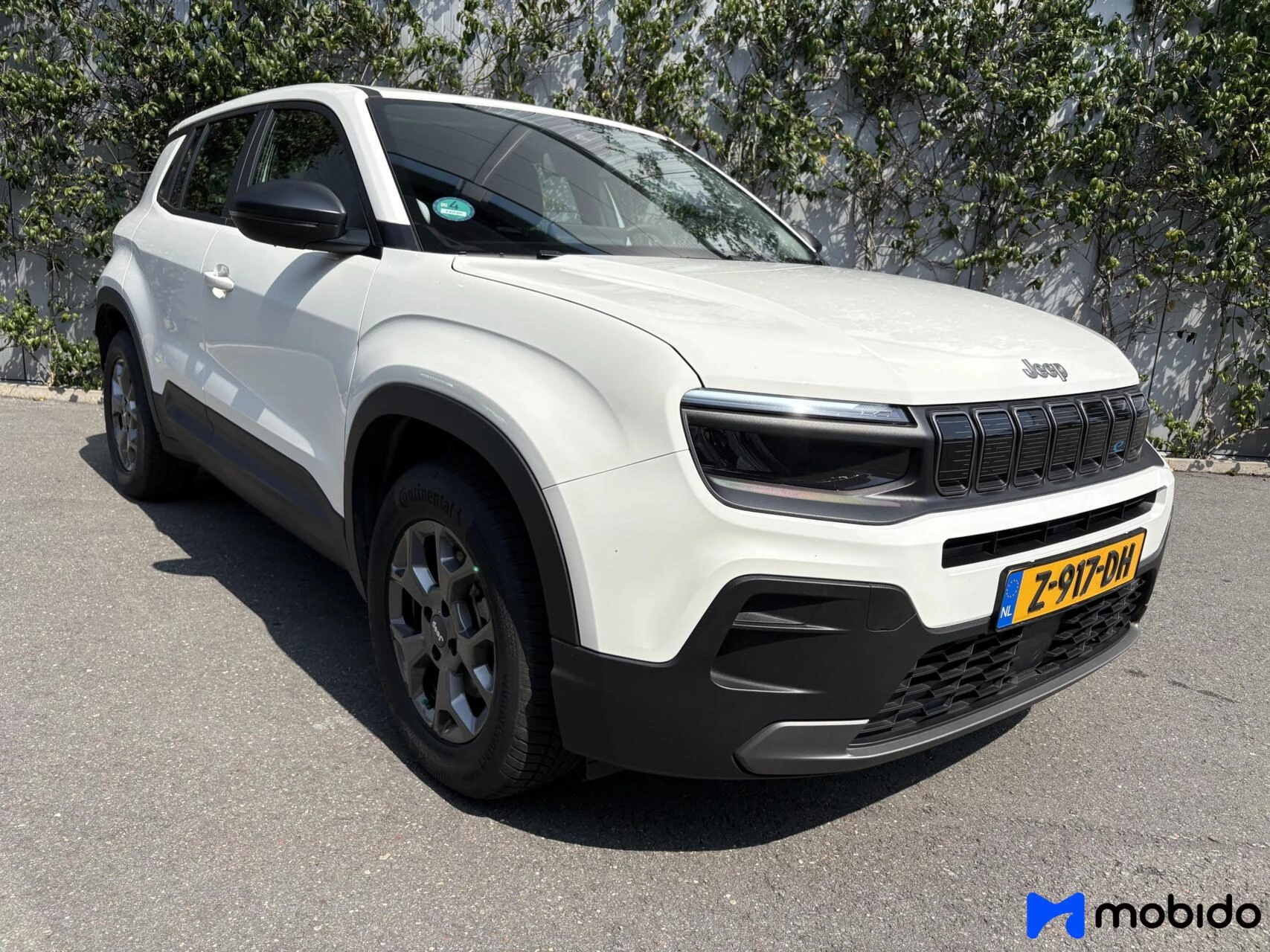 Hoofdafbeelding Jeep Avenger