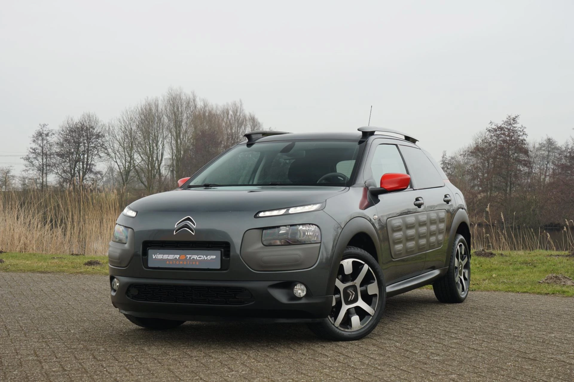 Hoofdafbeelding Citroën C4 Cactus