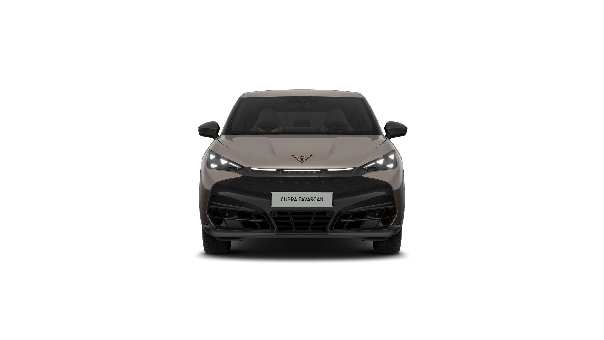 Hoofdafbeelding CUPRA Tavascan