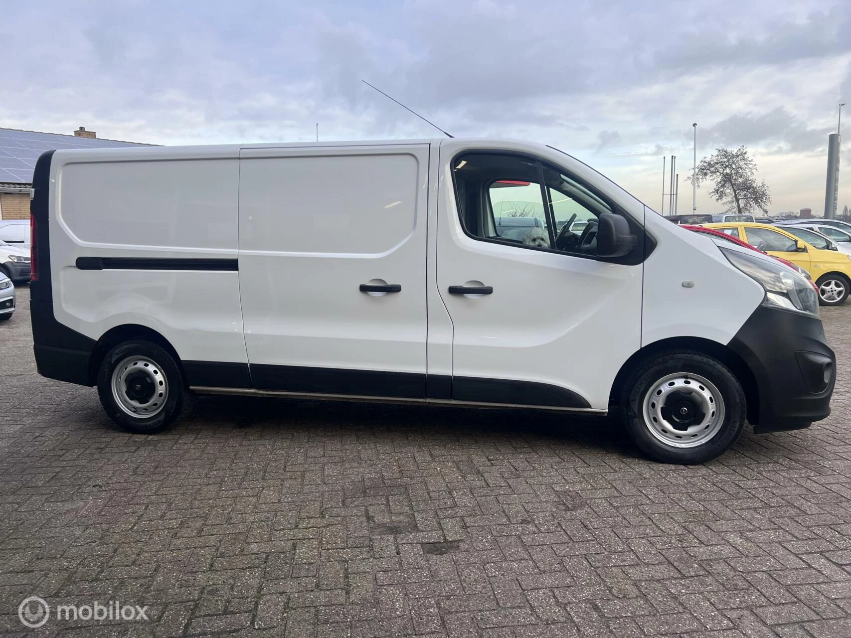 Hoofdafbeelding Opel Vivaro