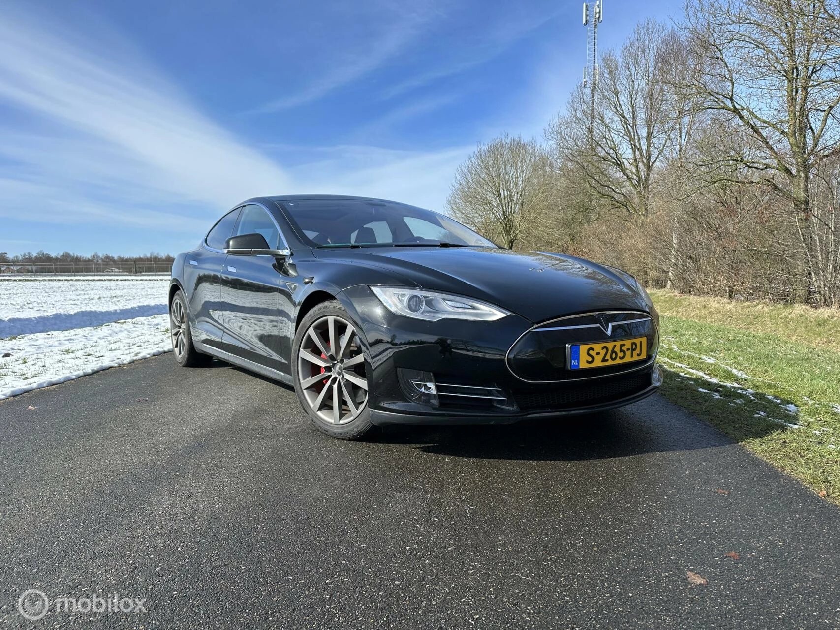 Hoofdafbeelding Tesla Model S