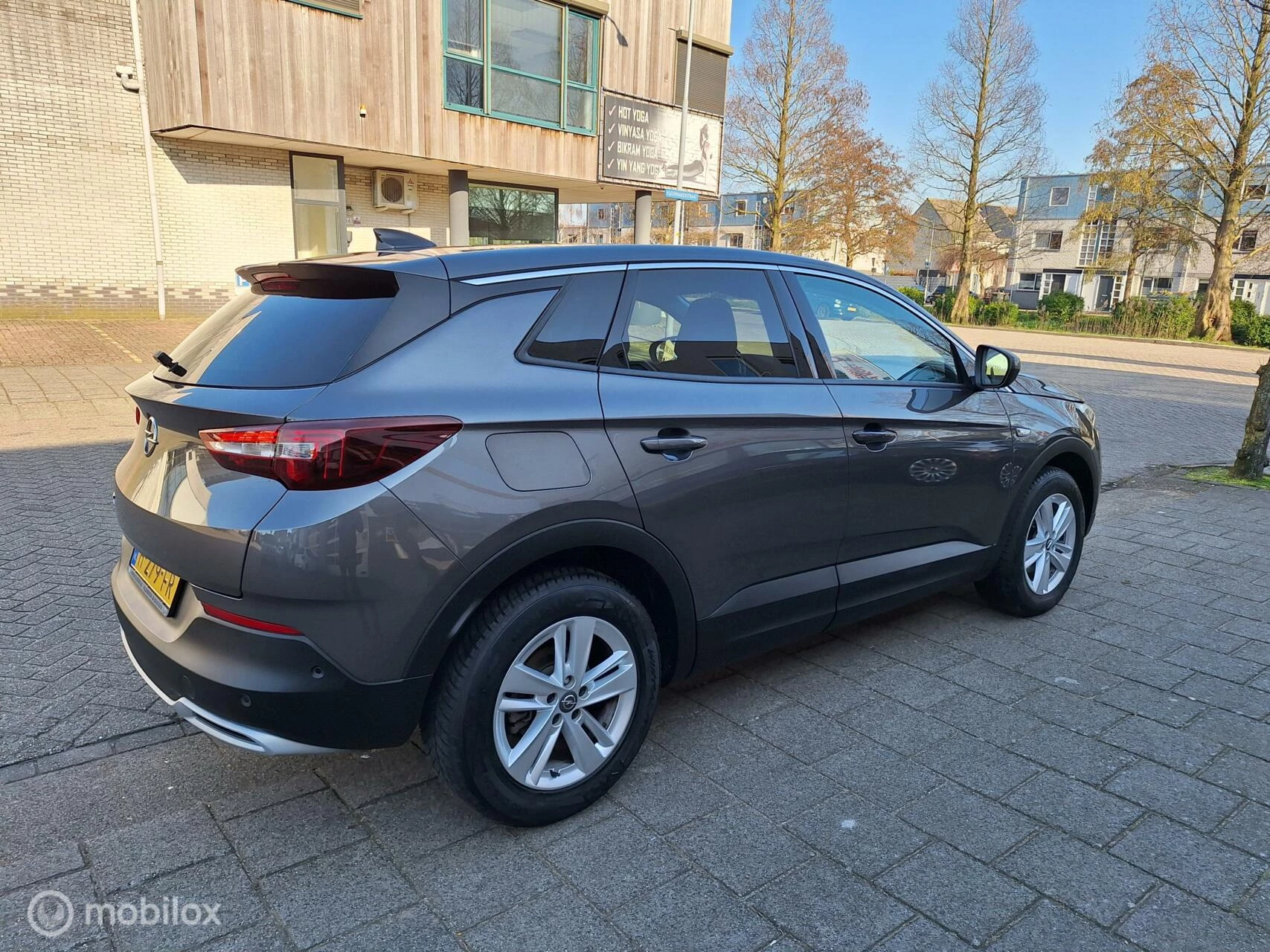 Hoofdafbeelding Opel Grandland X