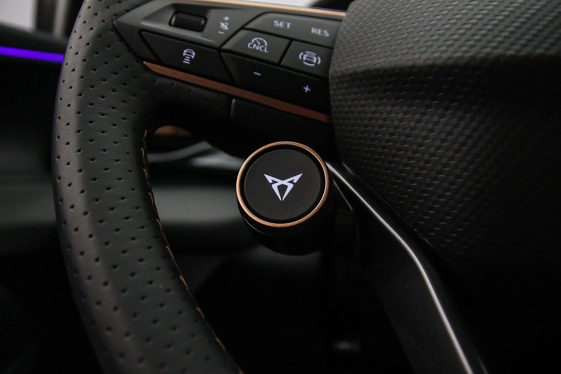 Hoofdafbeelding CUPRA Terramar