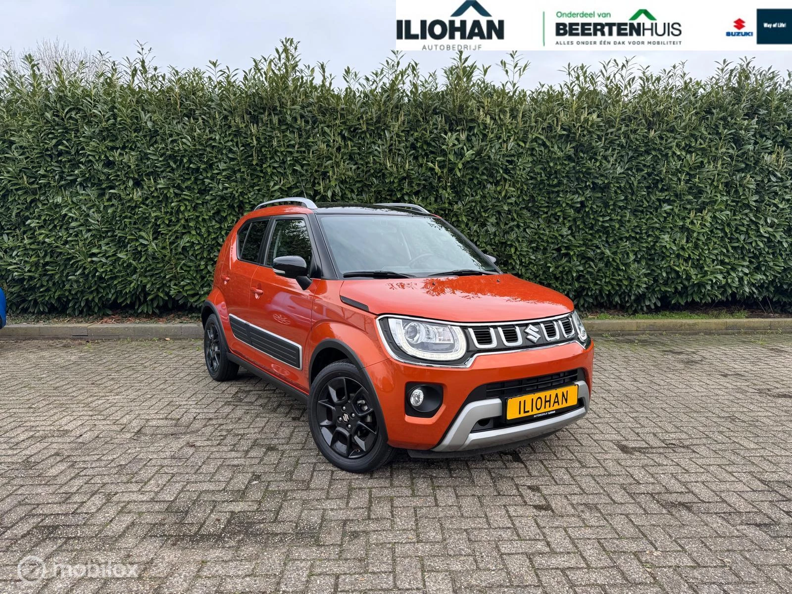 Hoofdafbeelding Suzuki Ignis