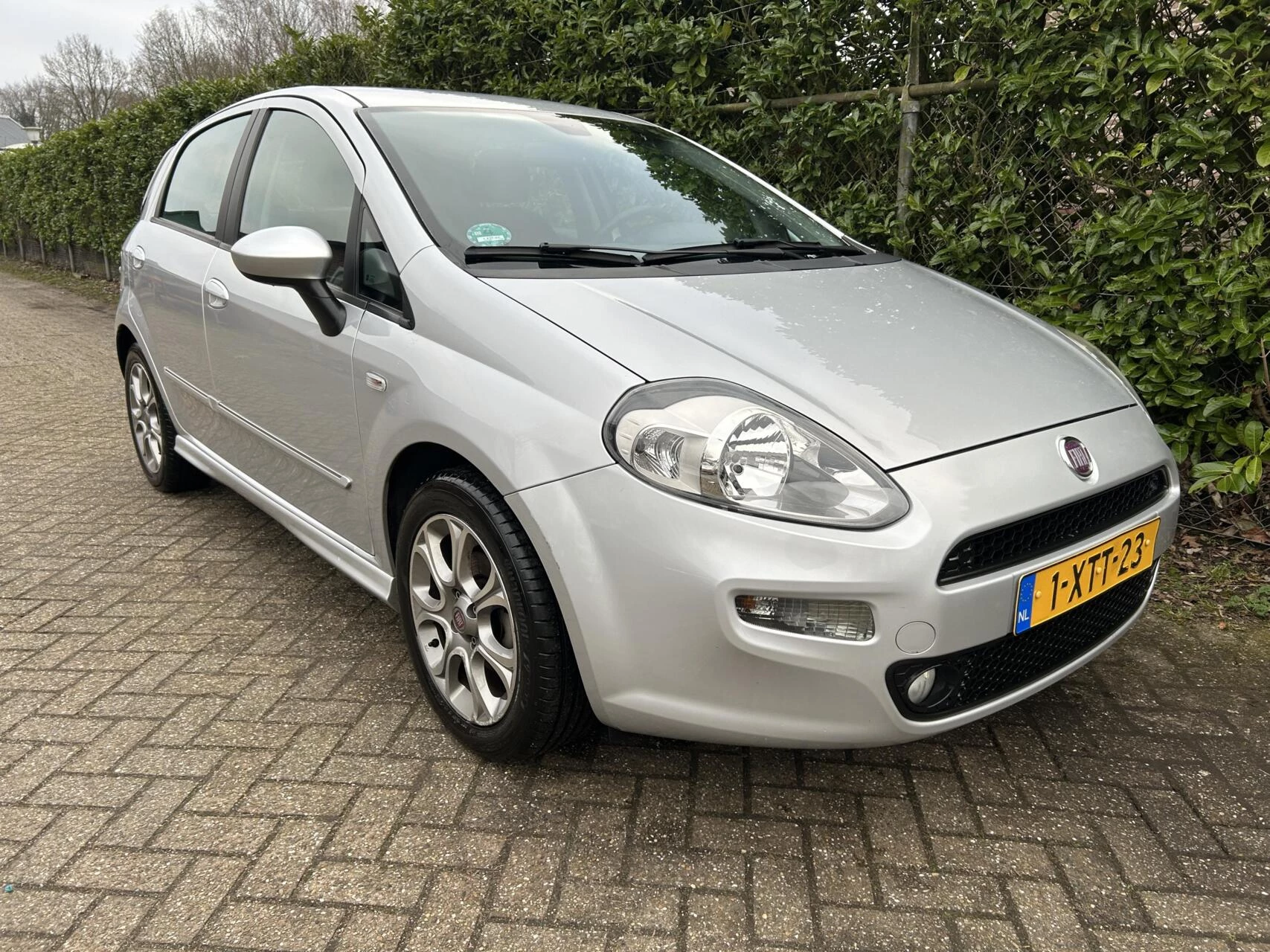 Hoofdafbeelding Fiat Punto