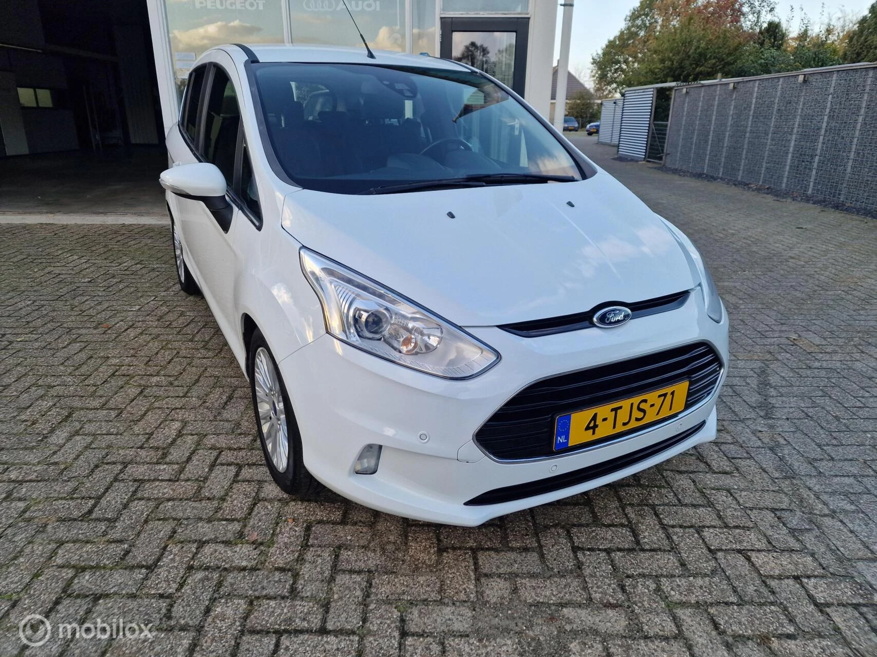 Hoofdafbeelding Ford B-MAX
