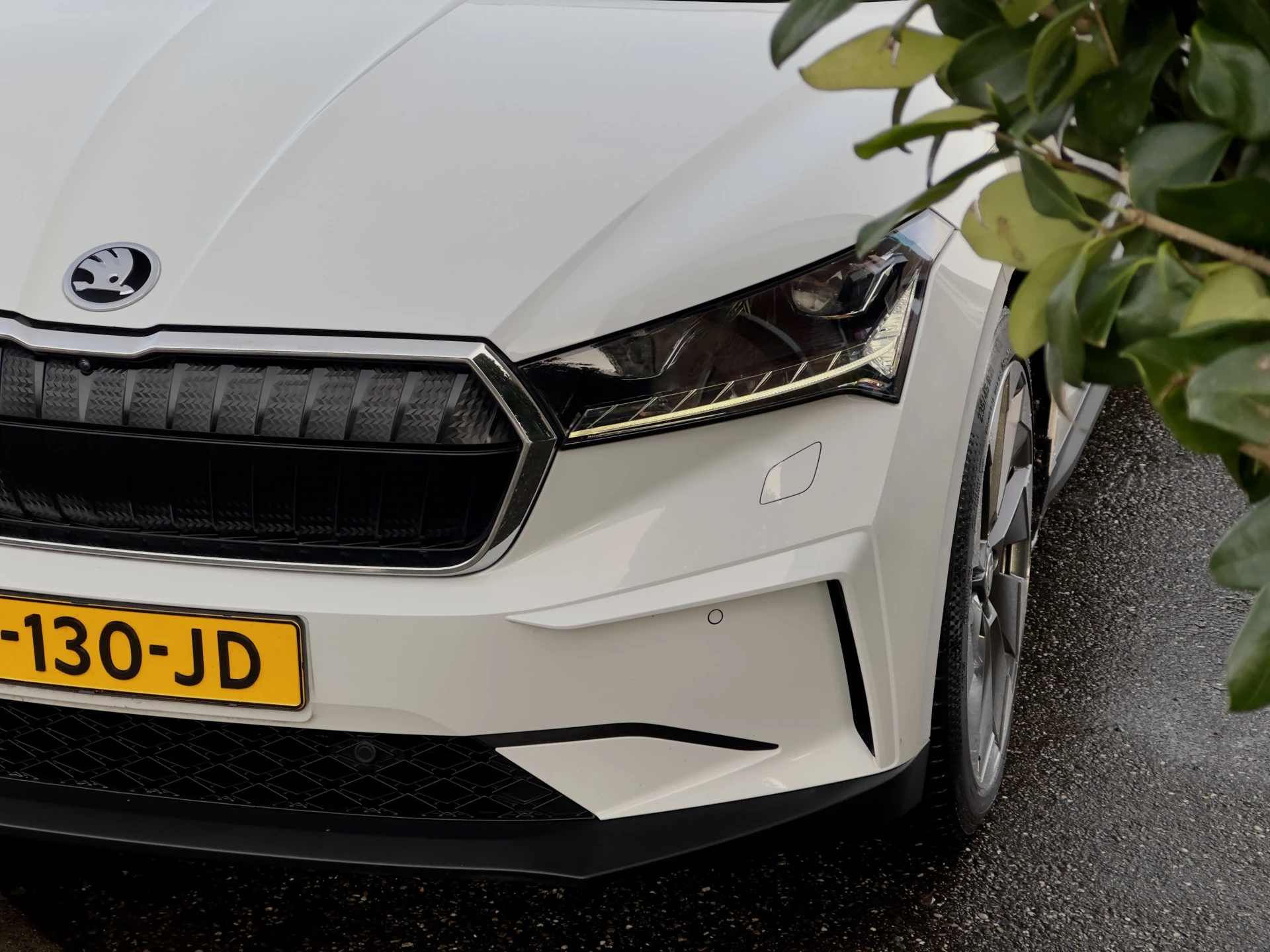 Hoofdafbeelding Škoda Enyaq iV