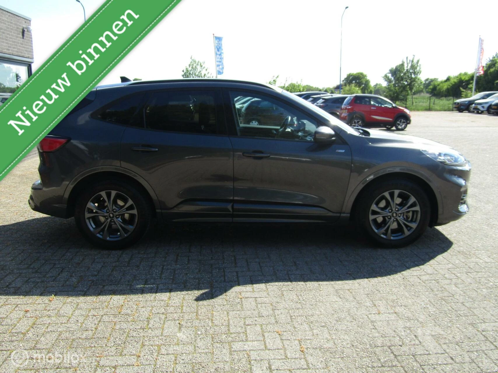 Hoofdafbeelding Ford Kuga