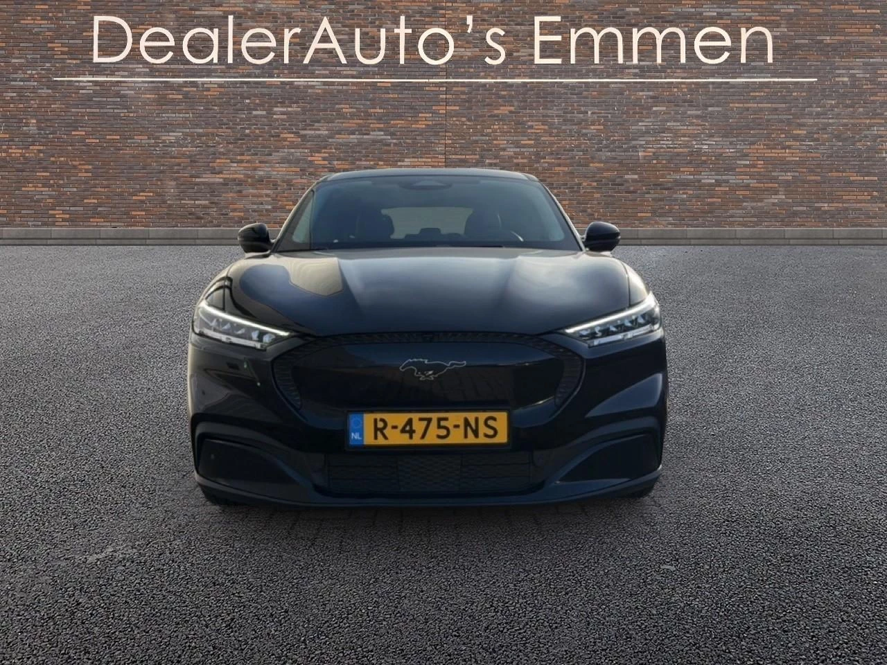 Hoofdafbeelding Ford Mustang Mach-E