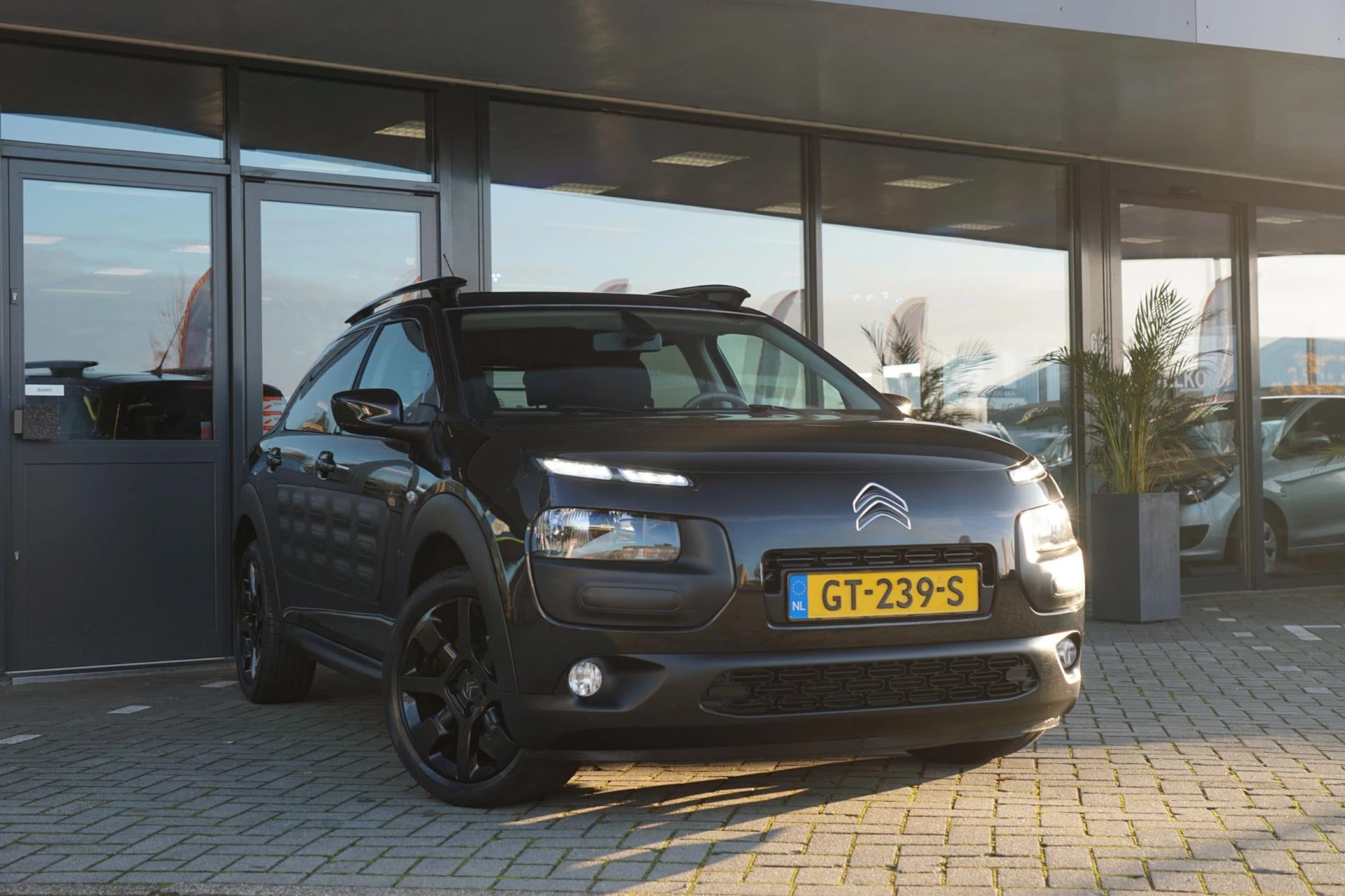 Hoofdafbeelding Citroën C4 Cactus