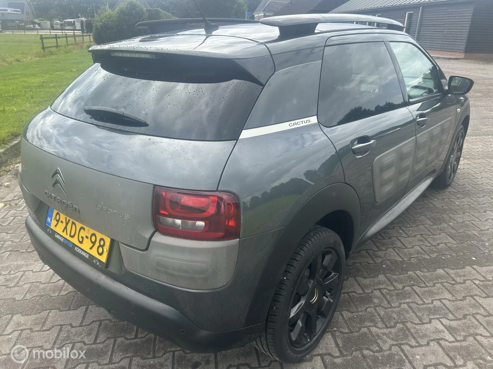Hoofdafbeelding Citroën C4 Cactus